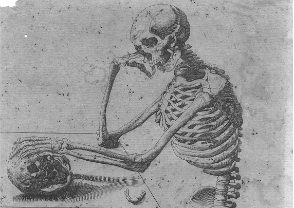 Vesalio, De humanis corporis fabrica, Bale, Oporinus 1543 Vesalio, De humanis corporis fabrica, Bale, Oporinus 1543