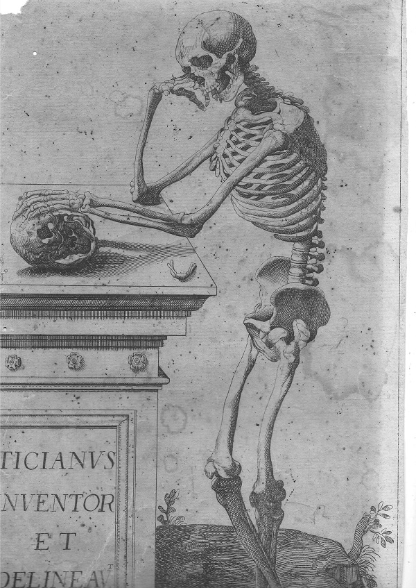 teschio che pensa