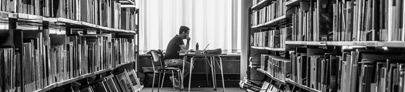 consultazione in biblioteca